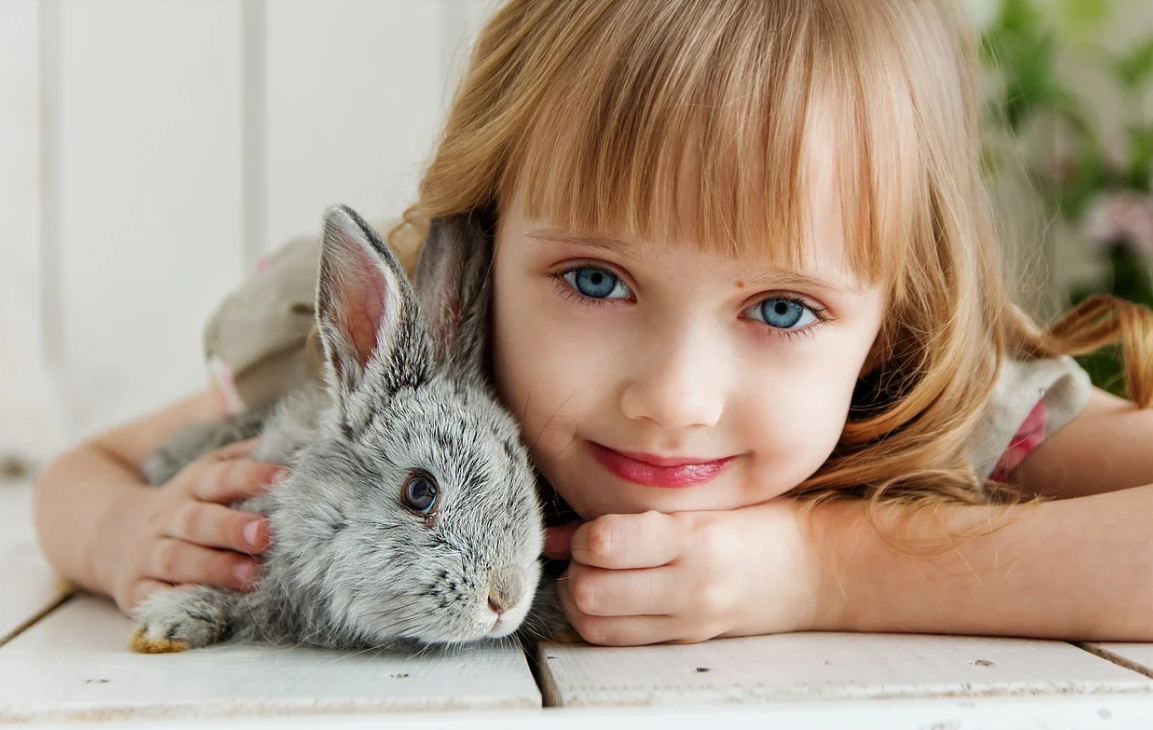 Дети не виноваты семейных дрязгах родителей. Фото с сайта https://pixabay.com