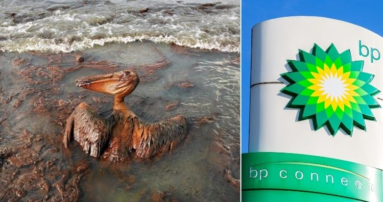 Через несколько недель после разлива нефти BP в Мексиканском заливе в 2010 году пеликан, погрязший в нефти, боролся за выживание в Луизиане. Изображение: Carolyn Cole/Los Angeles Times via latimes, FotograFFF/Shutterstock 
