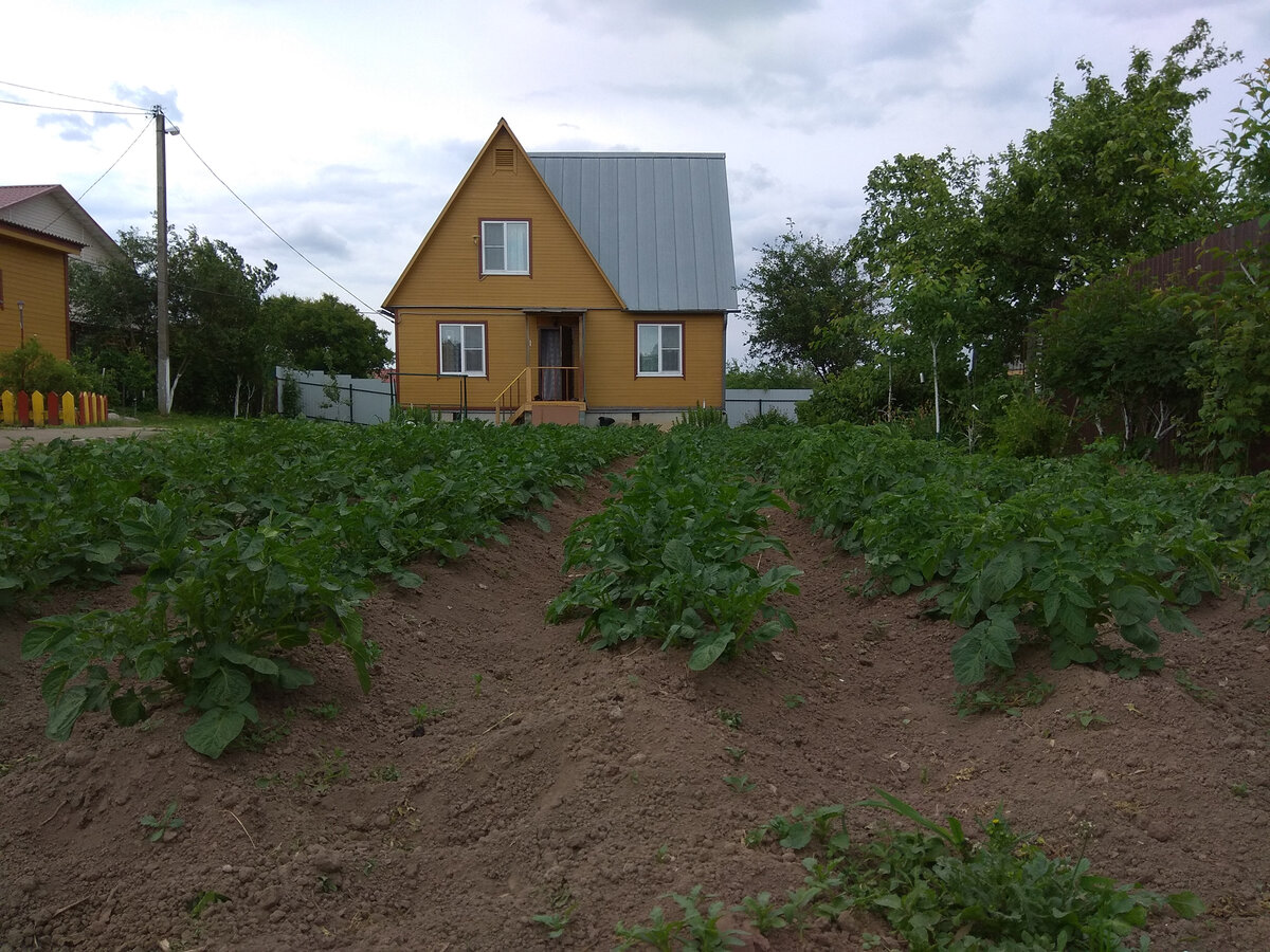 Фотография из личного архива