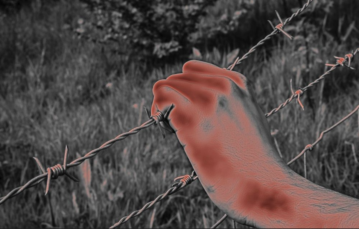 Фото из открытых источников