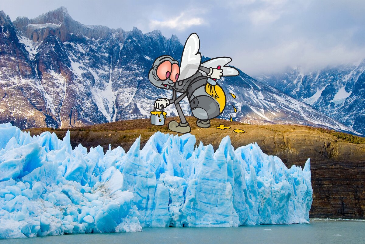 Серые пчёлы карника шли вслед за ледником