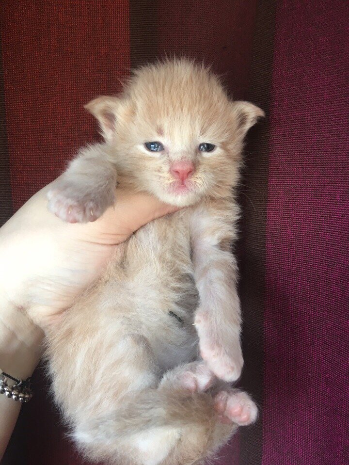 Фото из личного архива.