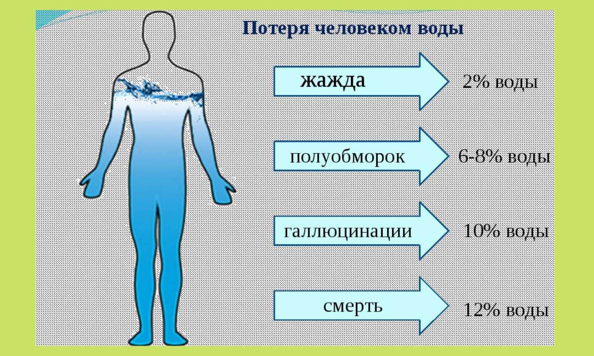 Сколько жидкостей в организме. Вода в организме человека. Вода в человеческом теле. Содержание воды в человеке. Вода и человек.