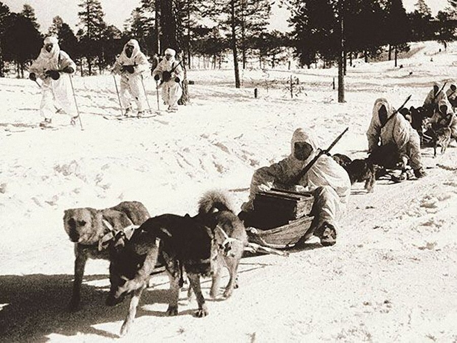 Собаки на войне 1941 1945 картинки