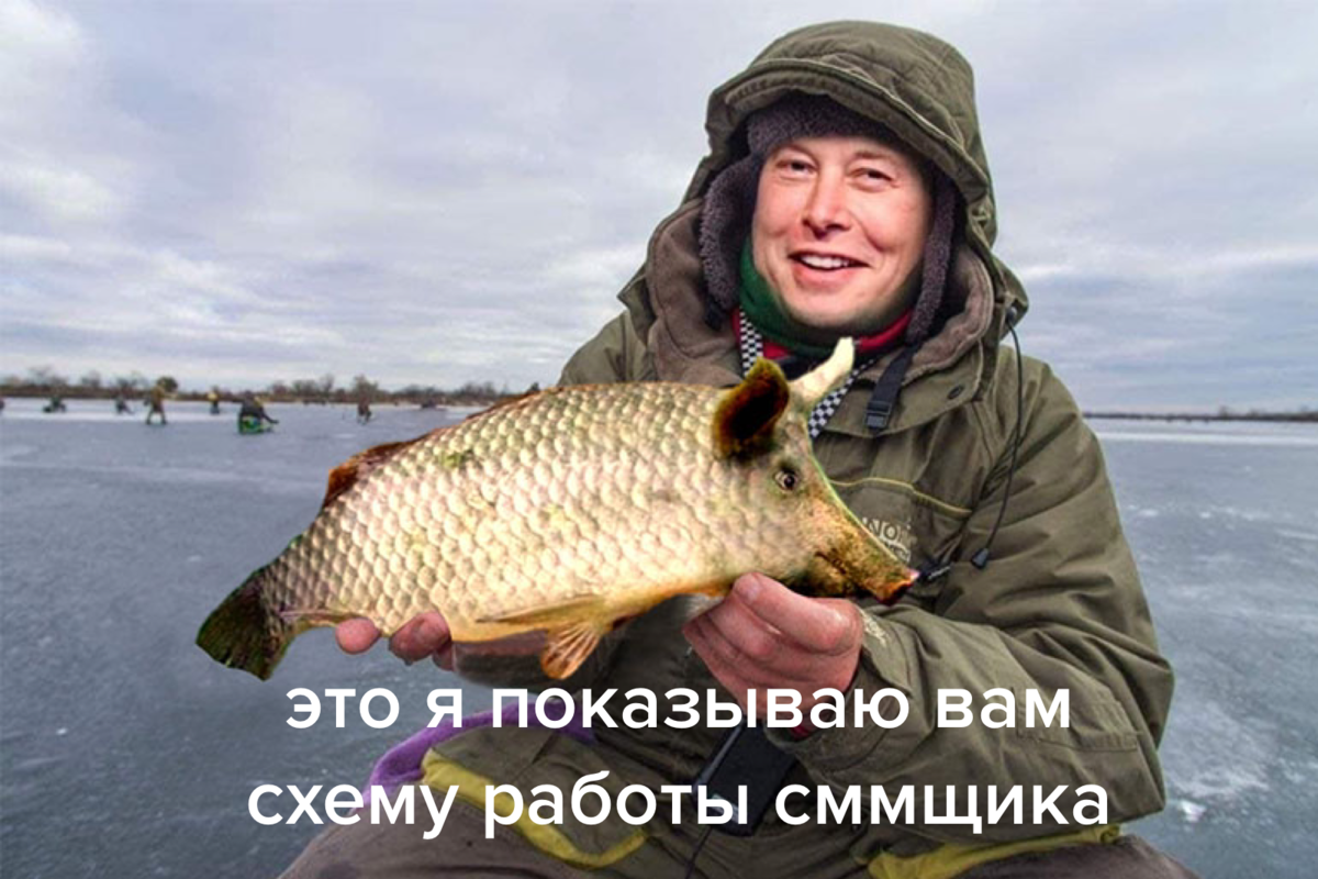 мем с илоном маском с memepedia