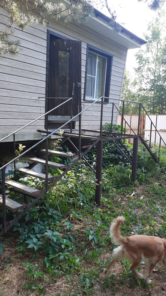 Вид со стороны. Фото автора.
