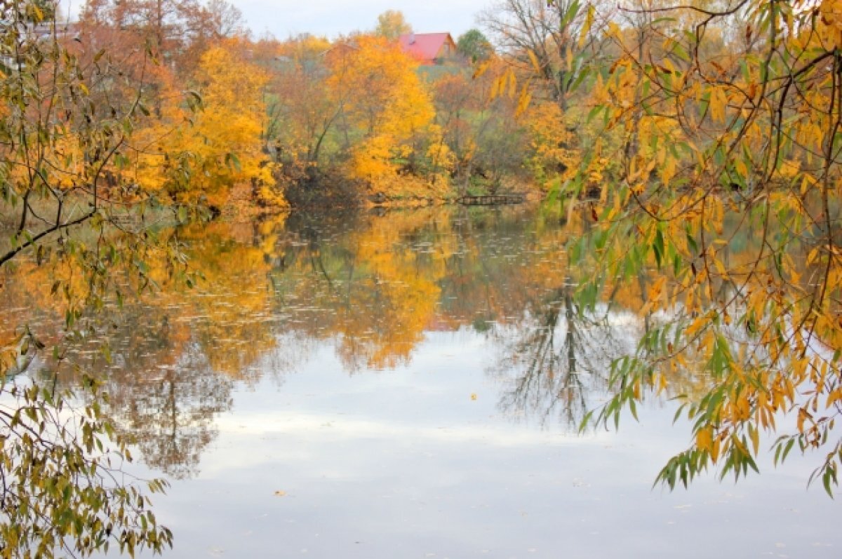    В Тульской области 22 октября будет облачно и до +6