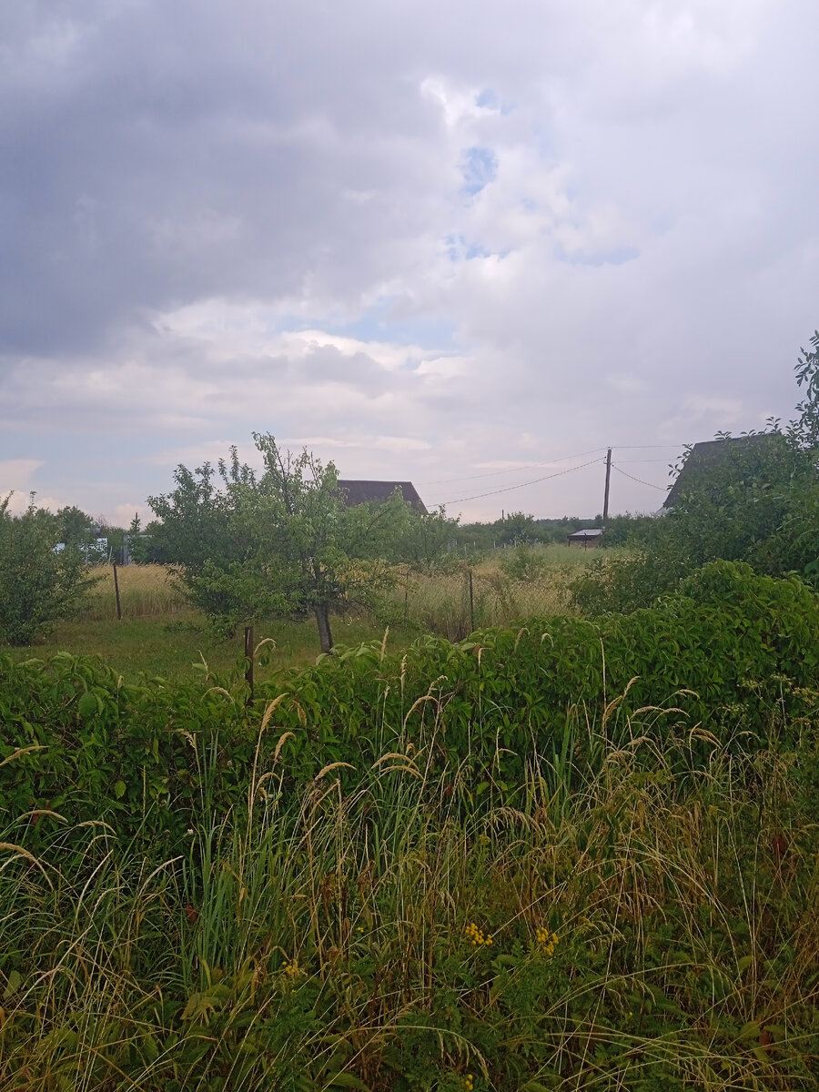 может пойти дождь, а может выглянуть солнце