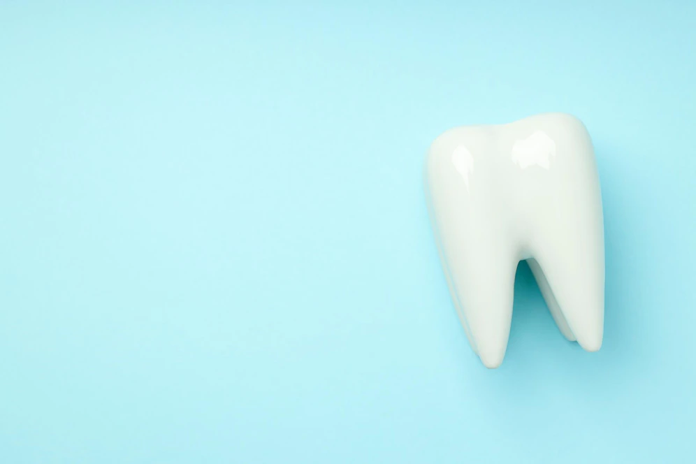 Источник: ru.freepik.com