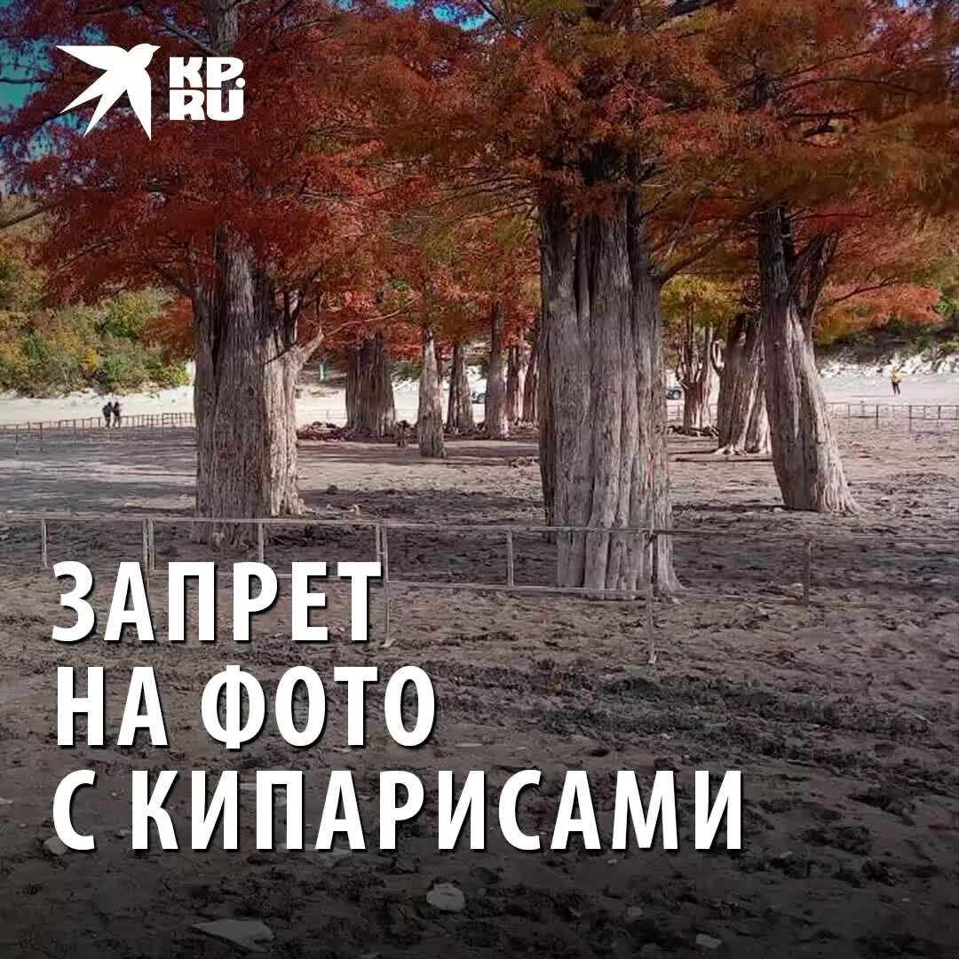 Кипарисовое озеро в ноябре