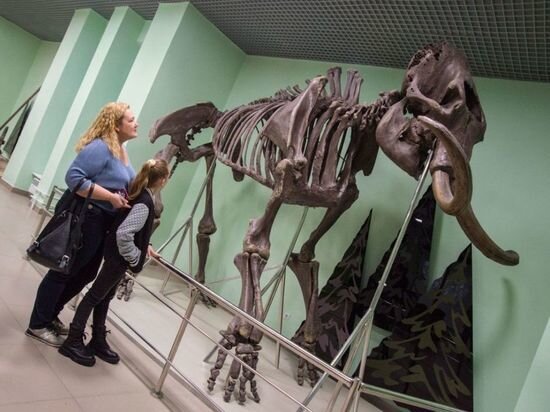     Фото пресс-службы Минкульта Омской области