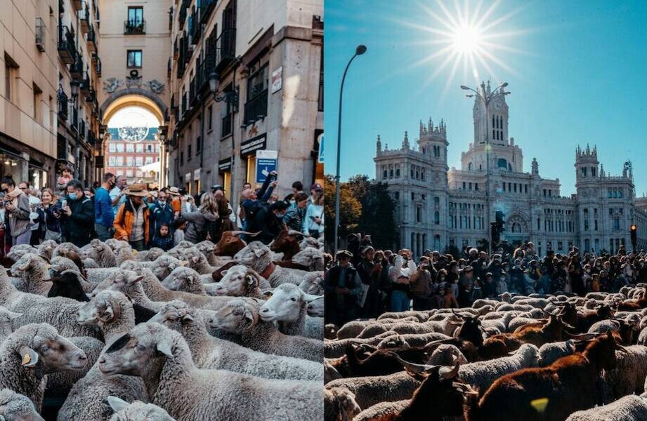    Фото: madridfree.org