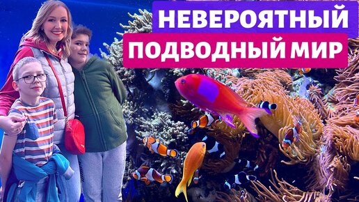 Огромные шрамы на теле Земли: назван самый длинный горный хребет на планете