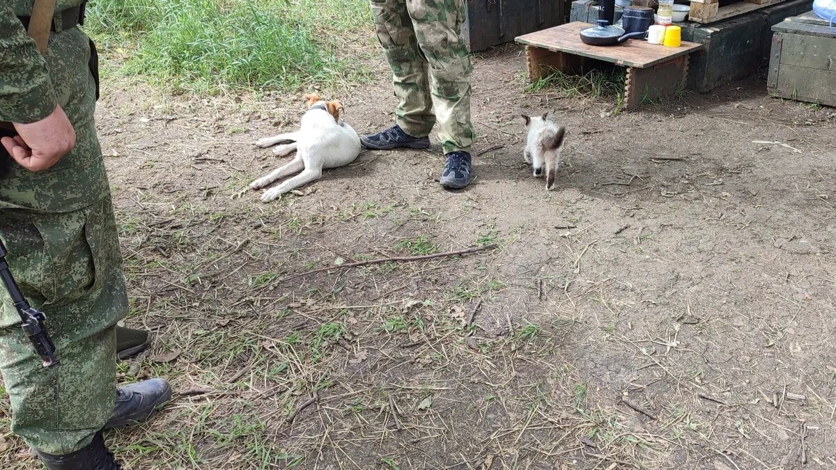 Фото: vk.com/zapanskoi