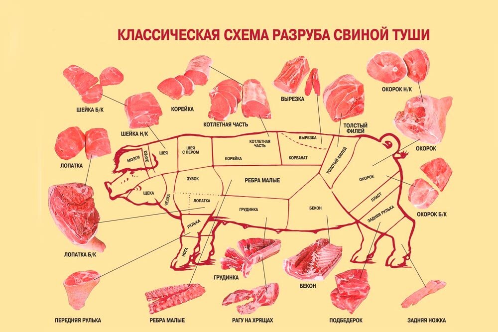 ТН ВЭД, код — Передние четвертины короткого разруба баранины, необваленные, мороженые