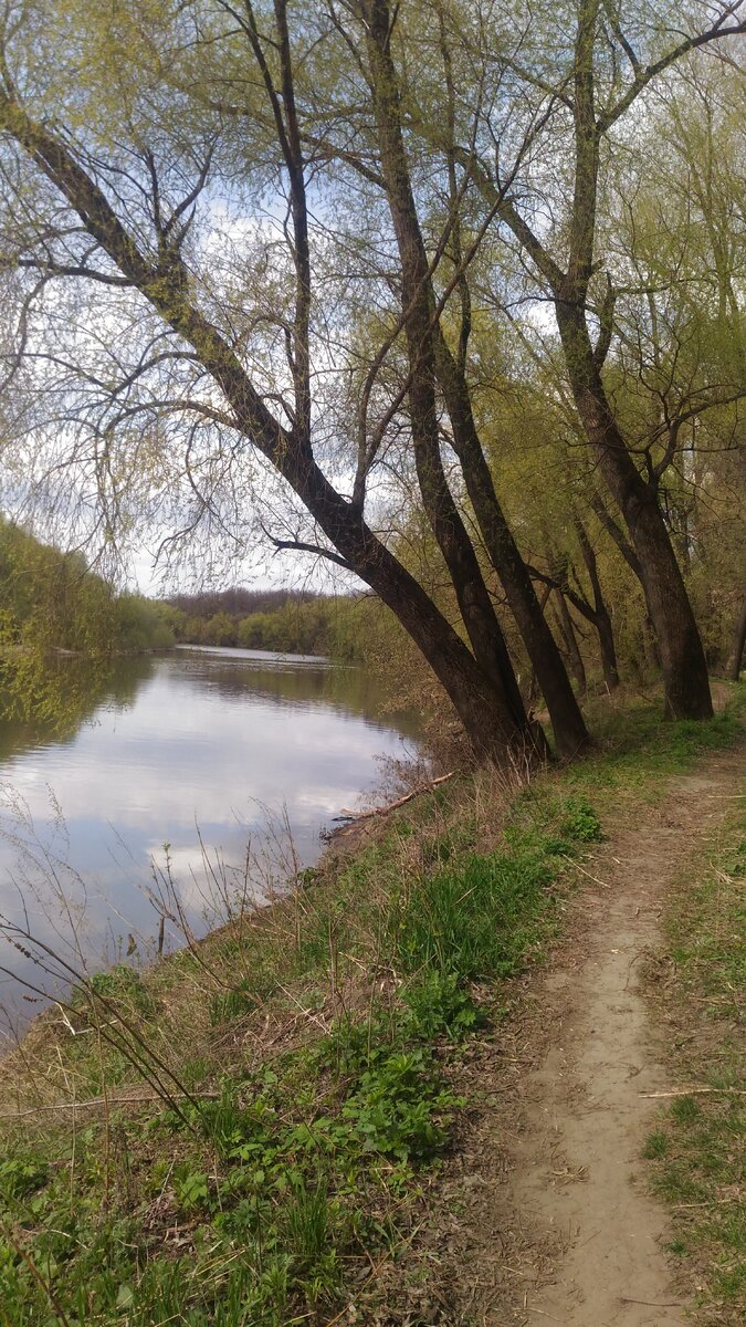 Появилась первая зелень.