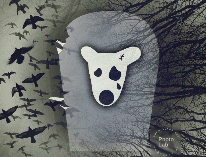 Фото из открытого источника.