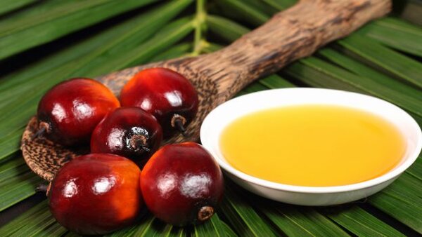 Чем на самом деле опасно пальмовое масло?