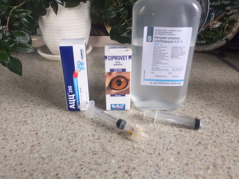 Это мои лекарства. Самое мерзкое - то что справа. Им промывают носик и глазки. 
