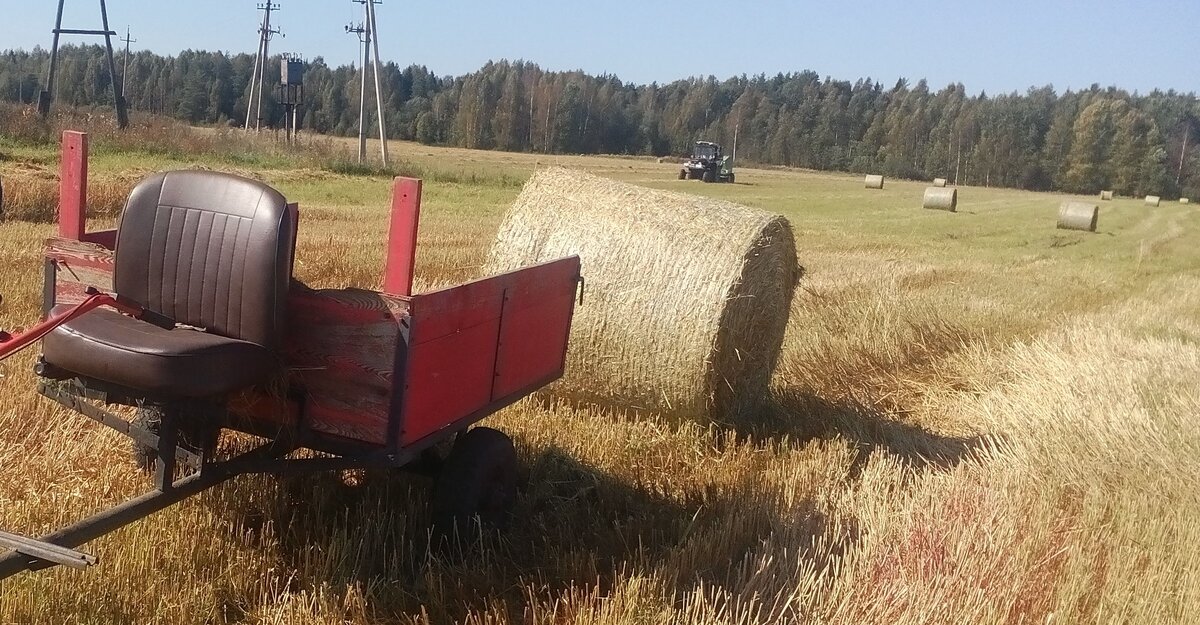 автор фото Александр Г.