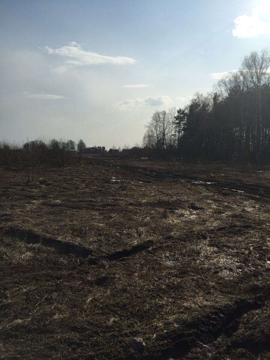 Дорога, предложенная навигатором