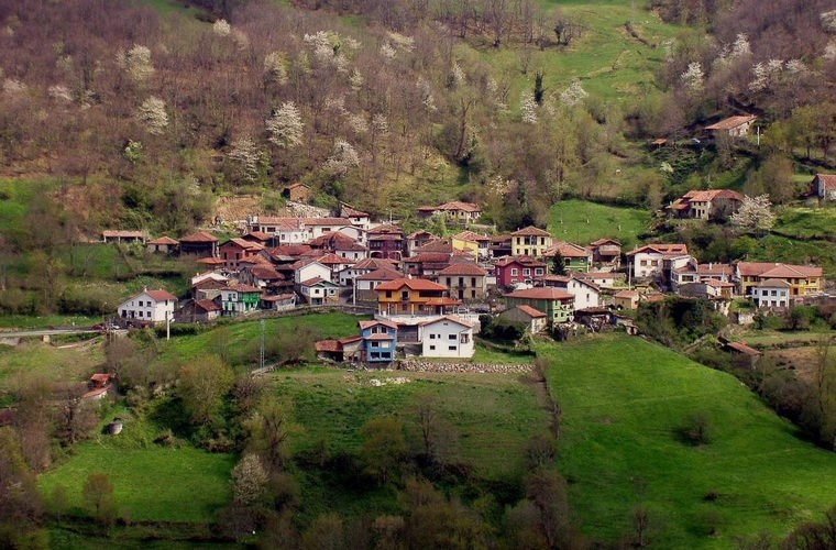 Фото из интернета