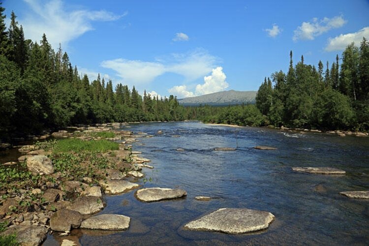 Вишерский заповедник Пермский край