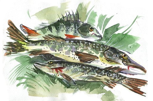 https://cdn.pixabay.com/photo/2018/03/12/11/17/fish-3219405__340.jpg