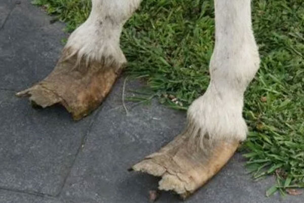 Источник фото сервис Яндекс.Картинки