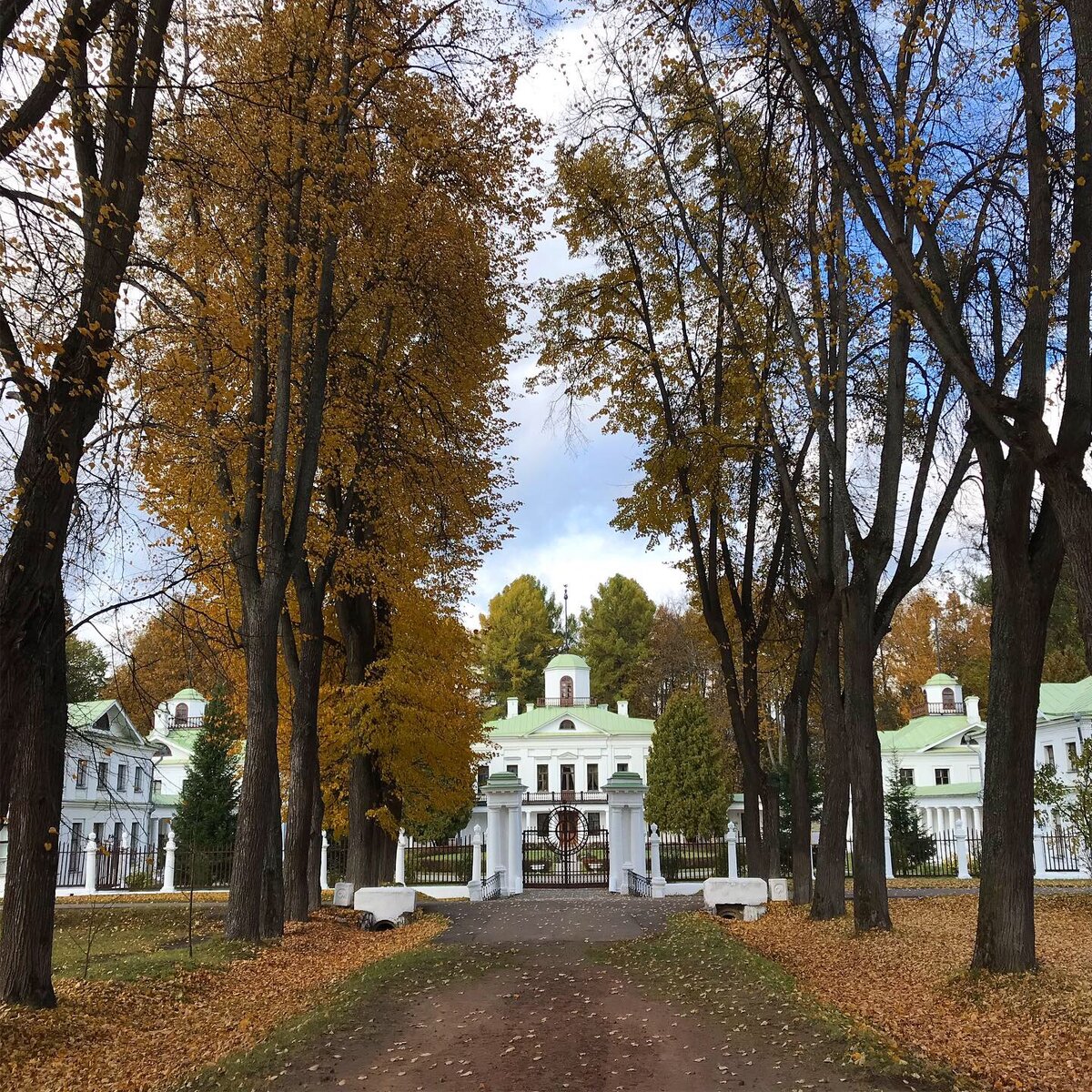 Усадьба середниково рисунок