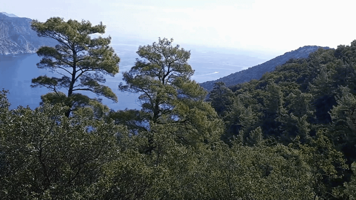 поход Ичмелер / Амос - gif