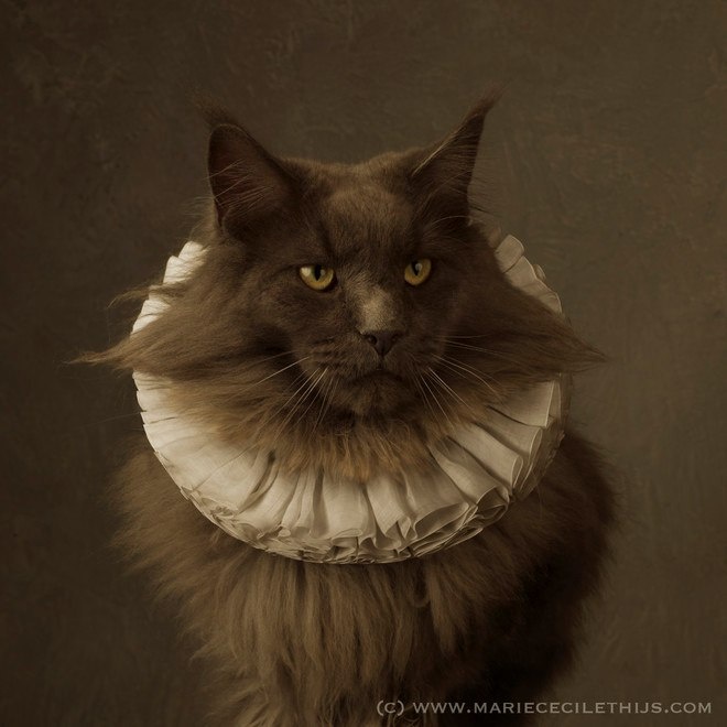 Граф Котофеич)