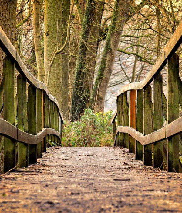 https://cdn.pixabay.com/photo/2017/12/17/19/08/away-3024773_960_720.jpg