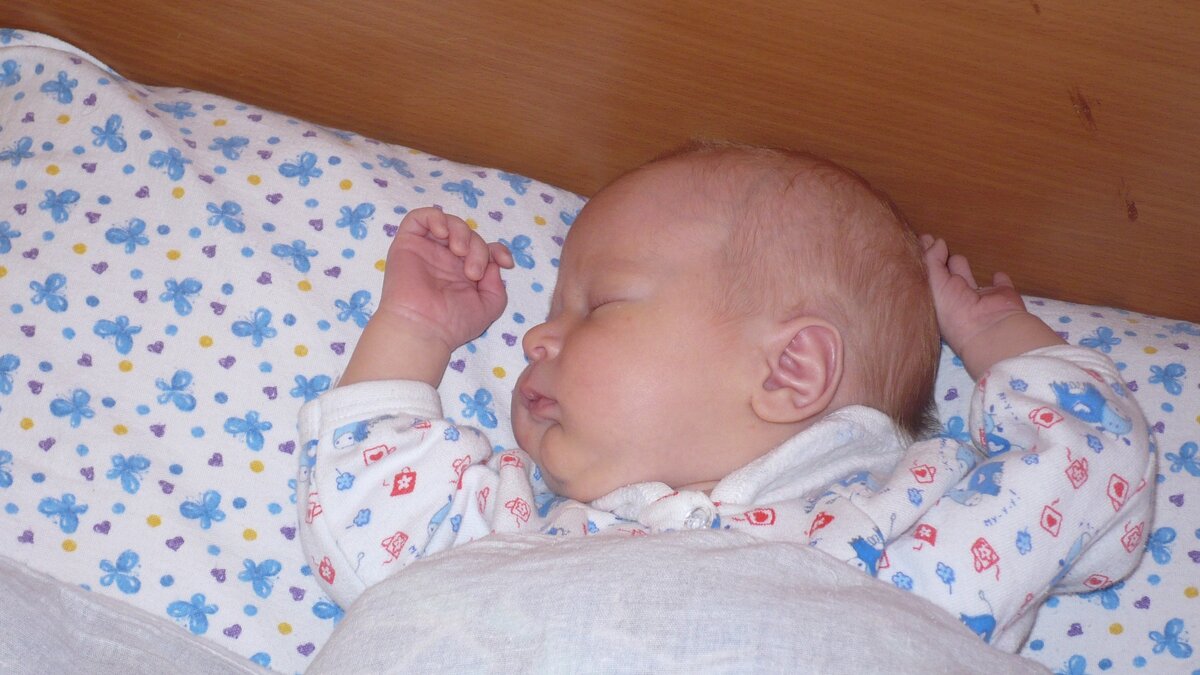 Апрель 2008 года. Летик.