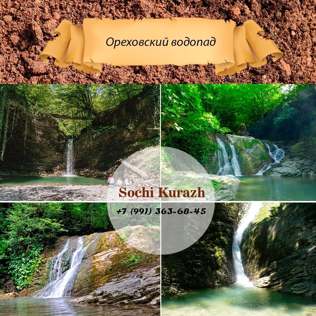 sochikurazh Ореховский водопад –  самый известный и, наверное, лучший из водопадов Большого Сочи. Затерянный в субтропическом лесу, водопад срывается со скалы высотой в 27,5 метров двумя струями, которые в падении переплетаются в одну. Ореховский водопад является одним из самых популярных экскурсионных направлений в Сочи.
⠀
Эта достопримечательность Сочи, впечатляет своей красотой и грацией, с высоты двадцать семь метров стремительно падают два каскада шумной воды.На пути воды есть две ступени, по которым мощный, бурлящий поток, грациозно пробирается вниз и с завораживающим шумом встречается с рекой. Это производит непередаваемое и неизгладимое впечатление от увиденного.
⠀
Очень часто его называют Ореховские водопады, во множественном числе, так как визуально он похож на два отдельных, стремящихся в низ, бурлящих потока. На самом деле этот водопад один, и в силу своего происхождения, поделился на два каскада.
⠀
Ореховский водопад – это удивительное место и очень популярный объект среди туристов, уникальное место с великолепной природой, которым можно наслаждаться в любое время года, ведь водопад не замерзает зимой и не пересыхает летом.
➖➖➖➖➖➖➖➖➖➖➖➖➖➖➖
🌆 Лучшие туры и романтические вечера, для вас прямо СЕЙЧАС:
📱+7 (991) 363-68-45 (WhatsApp)
📧 Sochikurazh@mail.ru
©️ @sochikurazh
🏖️ Sale for you
➖➖➖➖➖➖➖➖➖➖➖➖➖➖➖
#сочи #море #отпуск2020 #арендавХосте #водопады