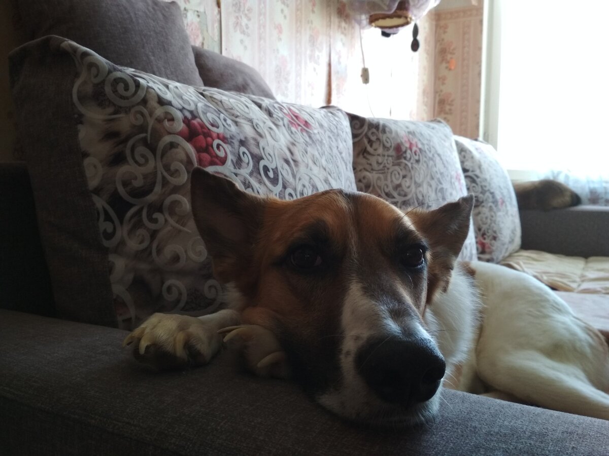 Фото автора