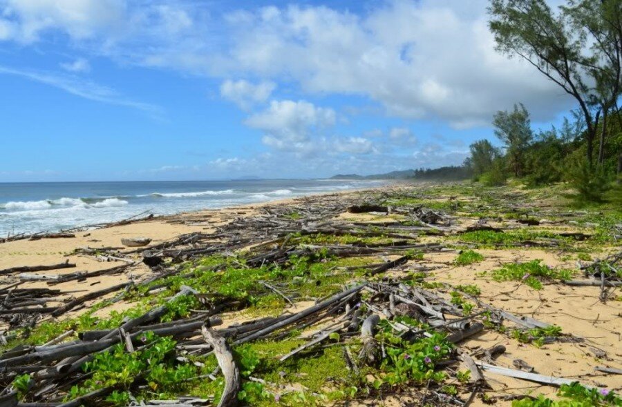 Вид направо (до южного полюса ок. 11 тысяч километров):

