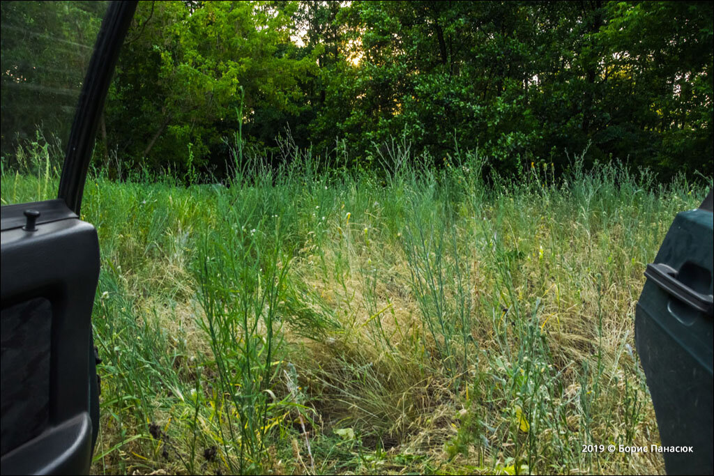 Первые минуты на берегу