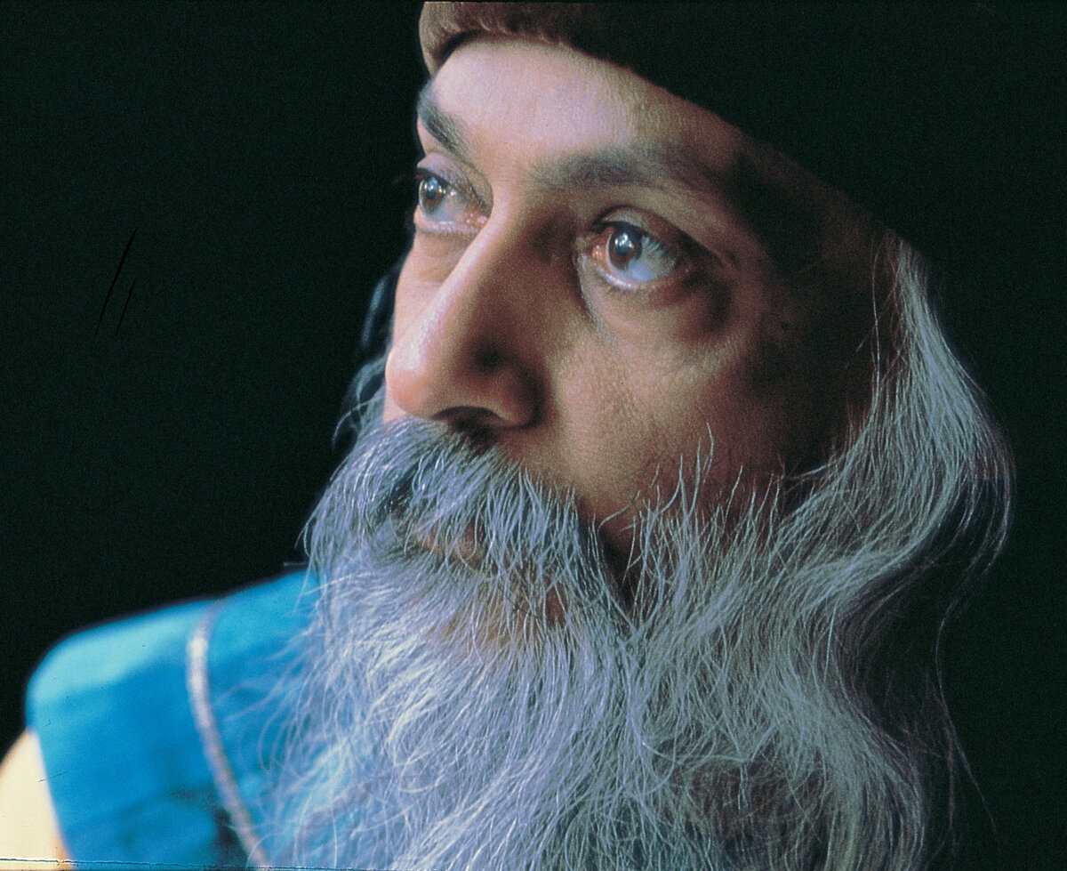 изображение из сети интернет и в свободном доступе