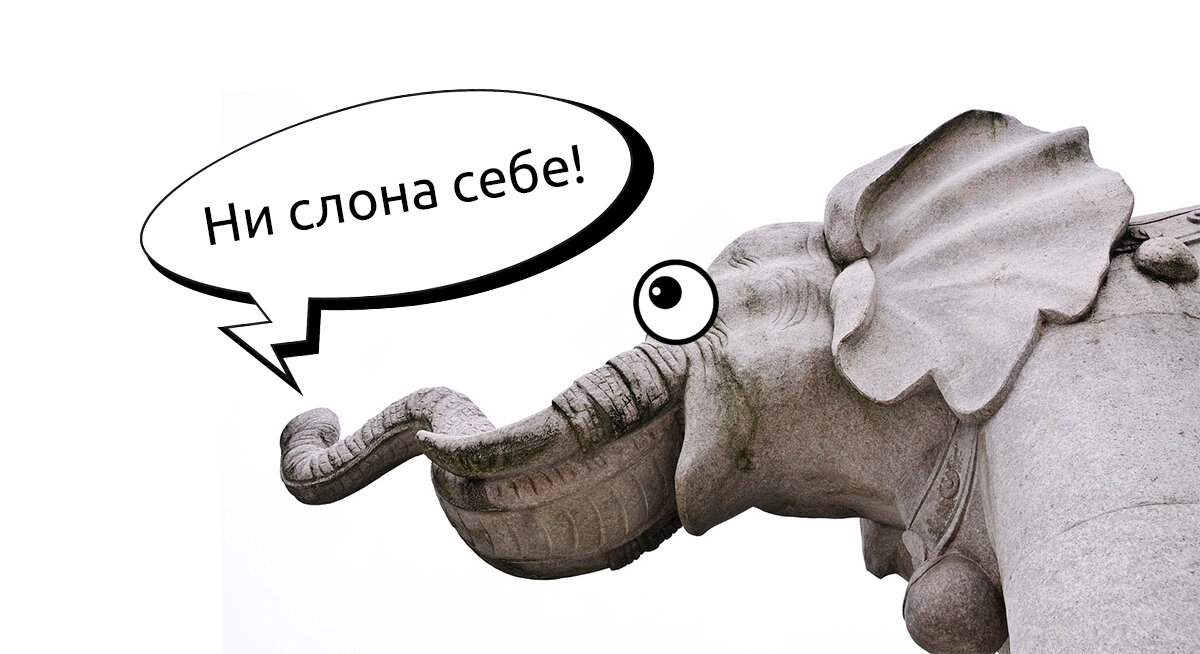 Удиви слона SMM-крыской.