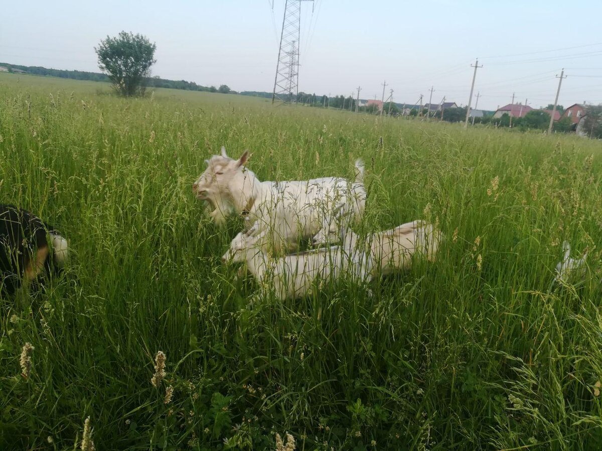 Фото авторов