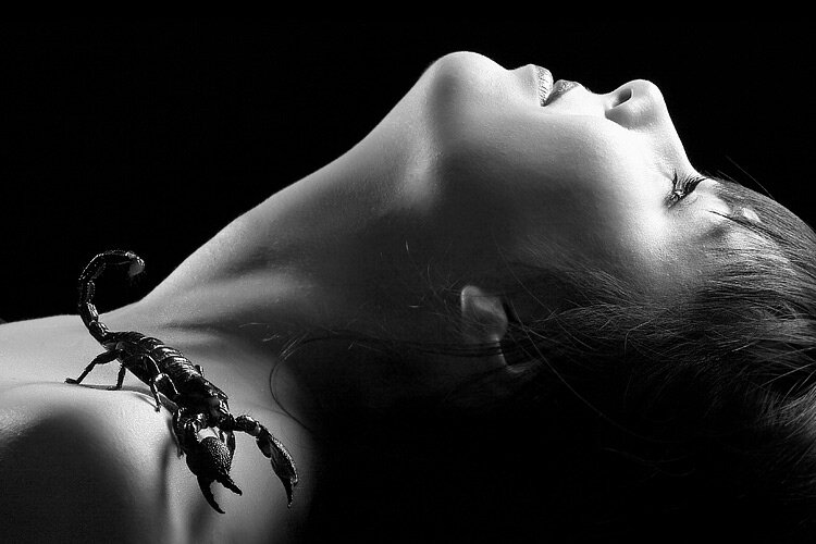 Девушка скорпион картинки. Факты о скорпионах женщинах. Девушка скорпион. Девушка скорпион. Женщина скорпион арт.