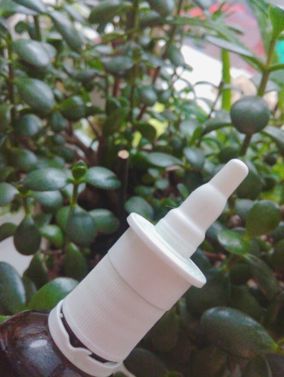 из личного фотоархива