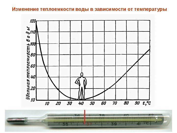 Почему температура 36. Температура 36.6. Температура 36.6 как называется. Температура +6 градусов. Почему температура тела 36 6 градусов.