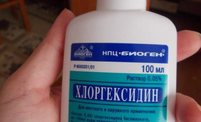 фото из яндекса