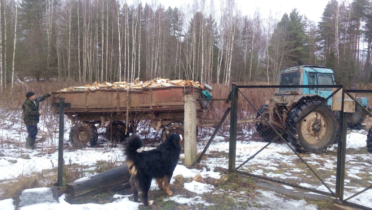 В этой тракторной телеге 4,5 куба дров.