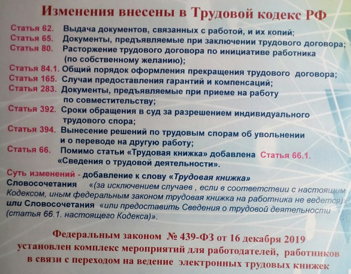 Электронные трудовые книжки. Полезный гайд. Часть 1 | Трудовые будни HR |  Дзен