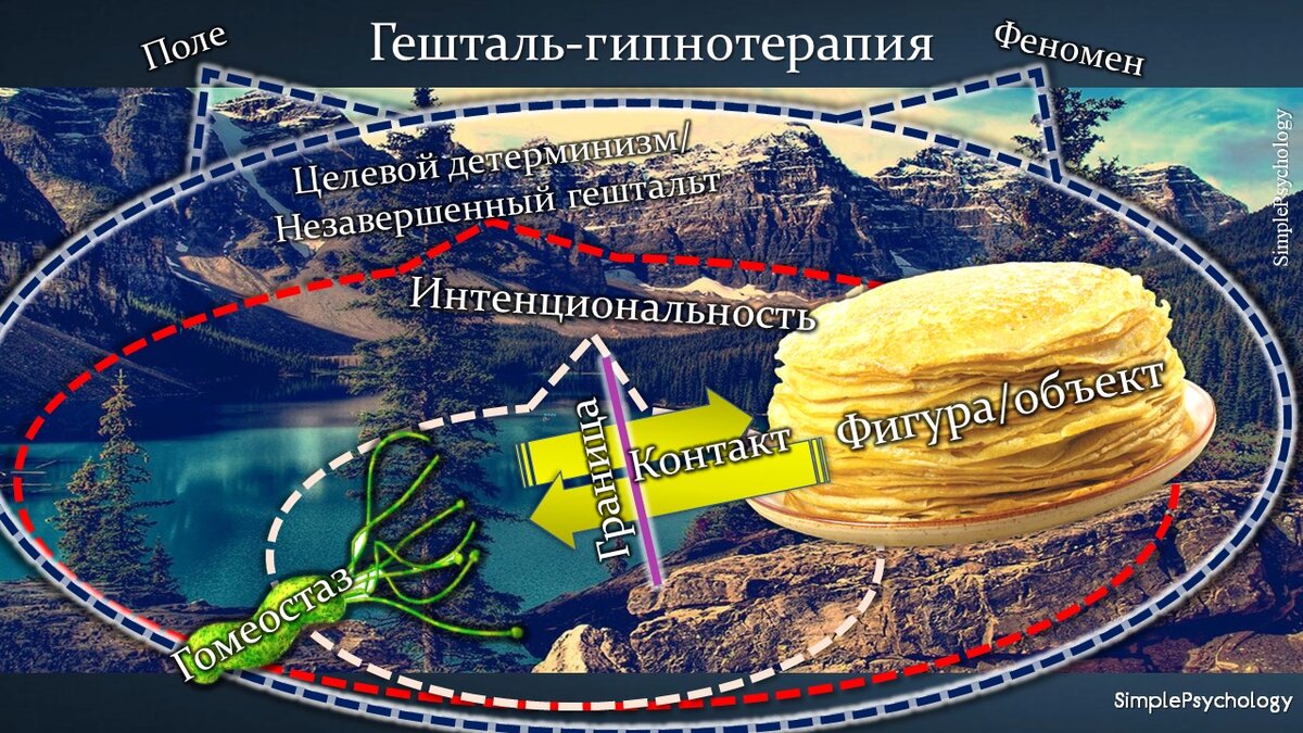 Гештальт-терапия: основные понятия гештальт-терапии и гештальтгипнотерапии  | SimplePsychology (Психология) | Дзен