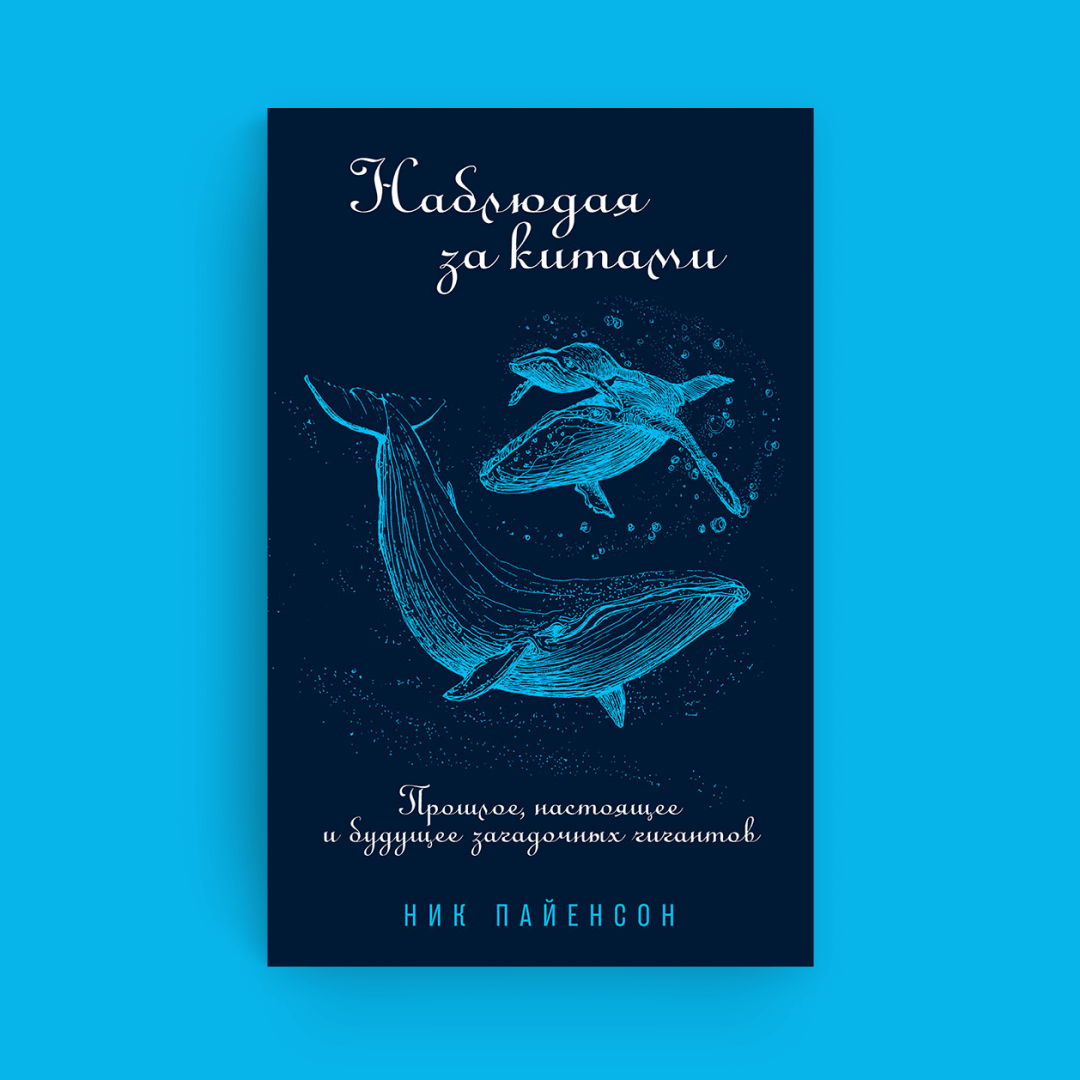 Киты — родственники парнокопытных, ходили по суше и были размером с собаку  | Bookmate Journal | Дзен