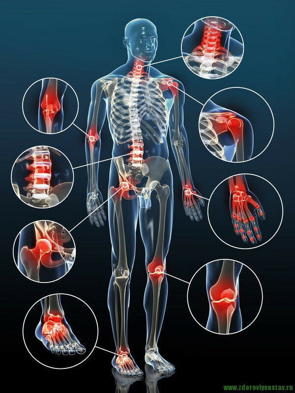 не забудьте поддержать автора